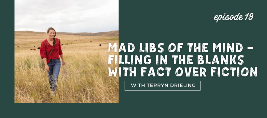 header graphic for episode 19 Mad Libs of the Mind - Filling in the Blanks with Fact Over Fiction