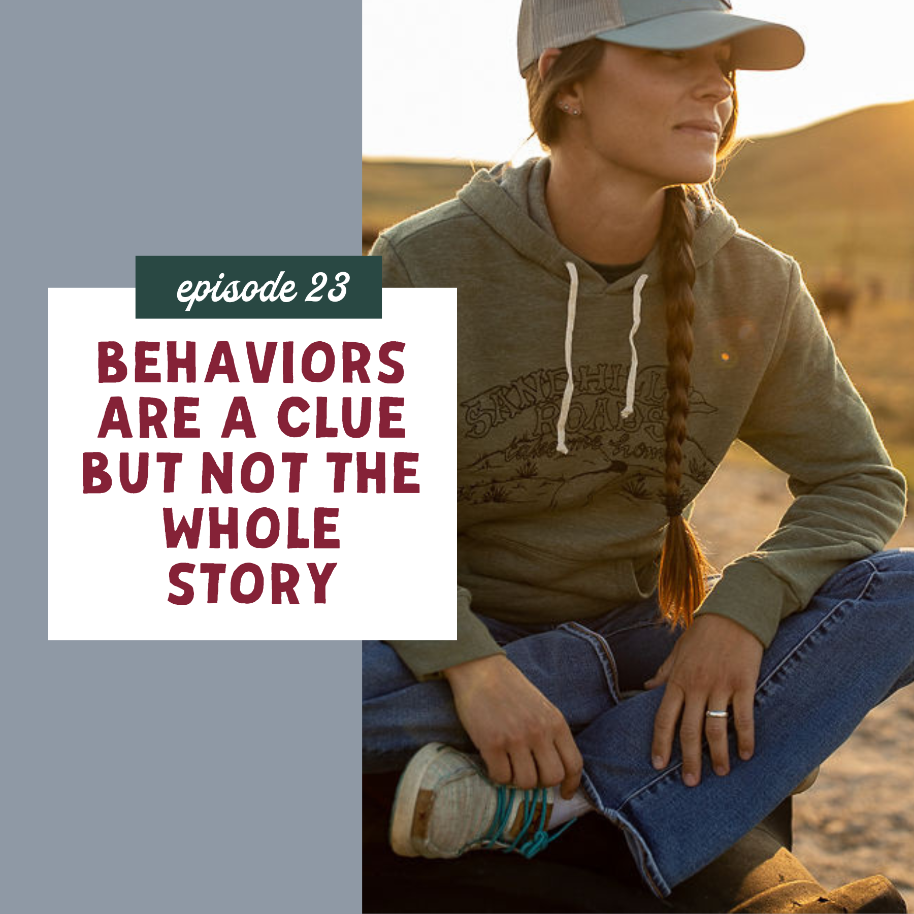 Behaviors Are a Clue But Not the Whole Story [episode 23]