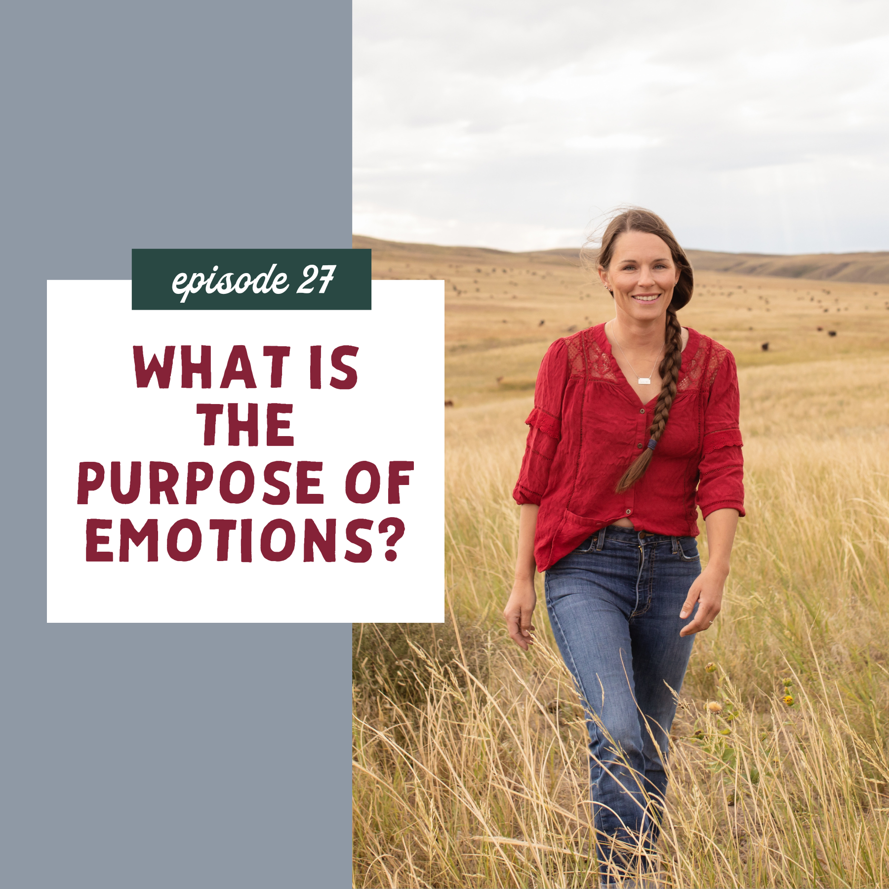 thumbnail graphic for What is the Purpose of Emotions