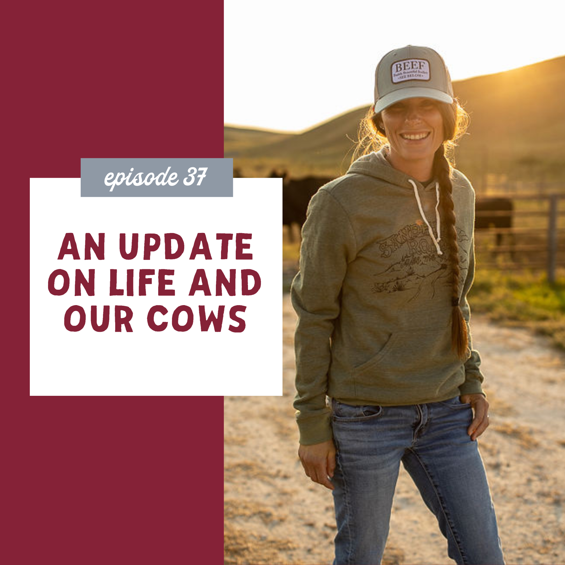 thumbnail graphic for An Update on Life and Our Cows