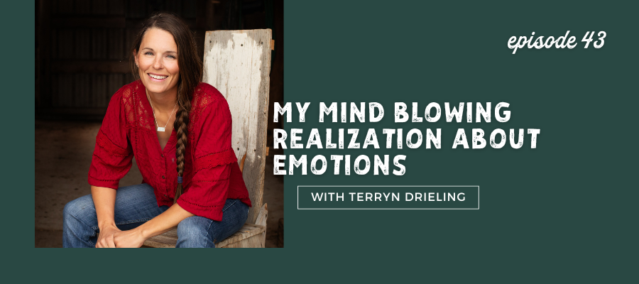 header graphic for My Mind-Blowing Realization About Emotions