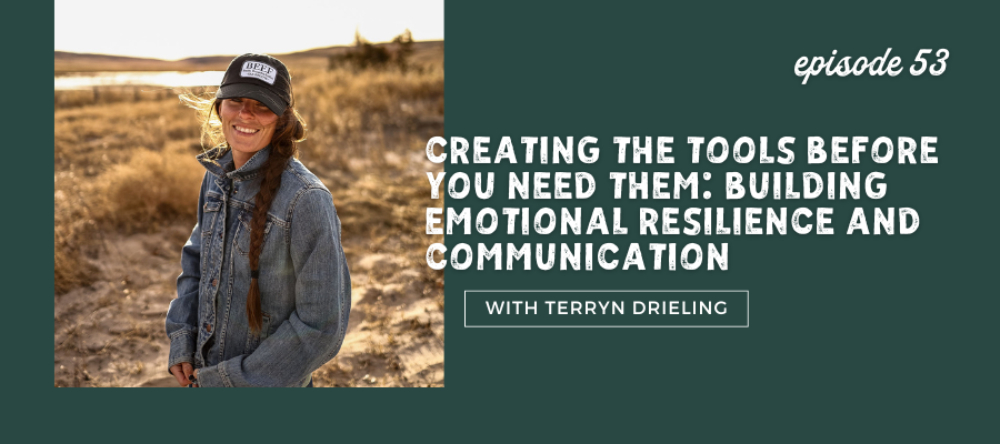 building emotional resilience and communication