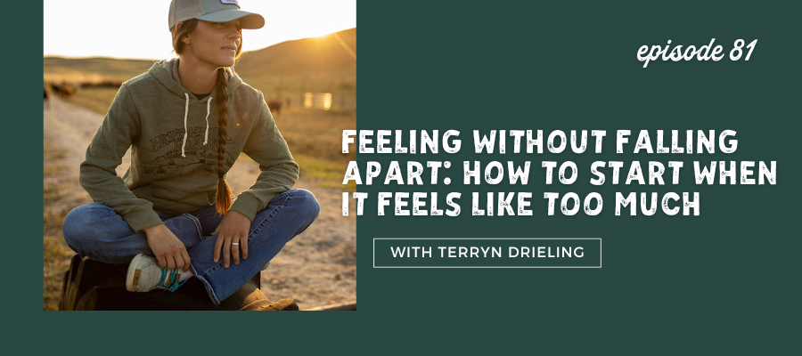 feeling without falling apart