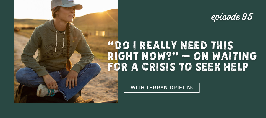waiting for a crisis to seek help