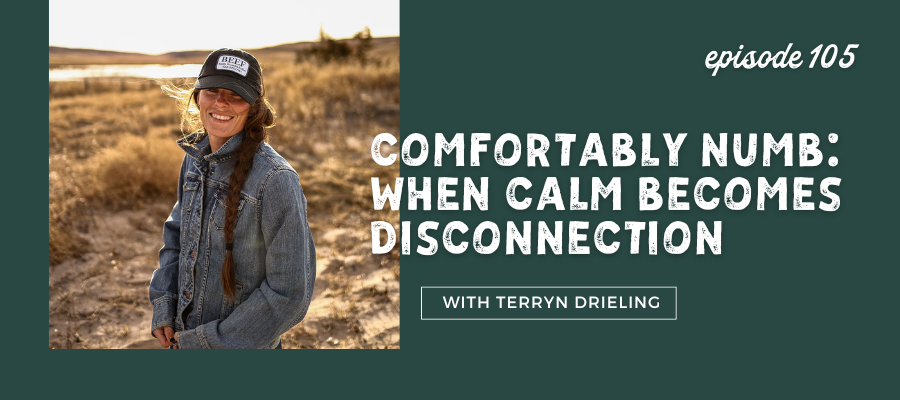 when calm becomes disconnection