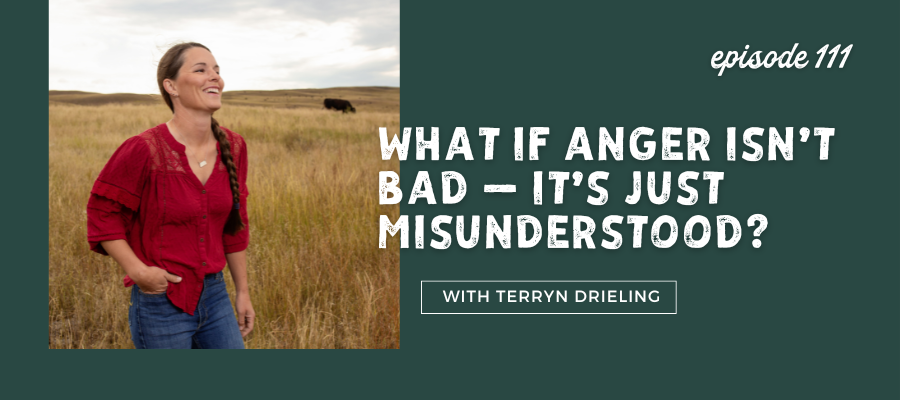 what-if-anger-isnt-bad