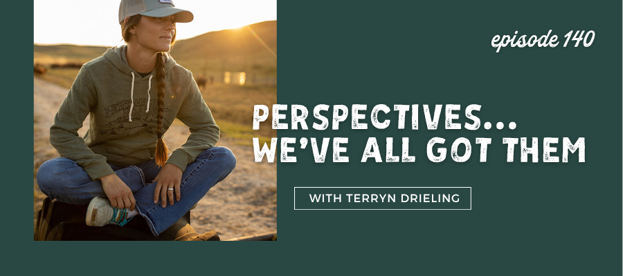 Header graphic for Perspectives...We've All Got Them [episode 140]