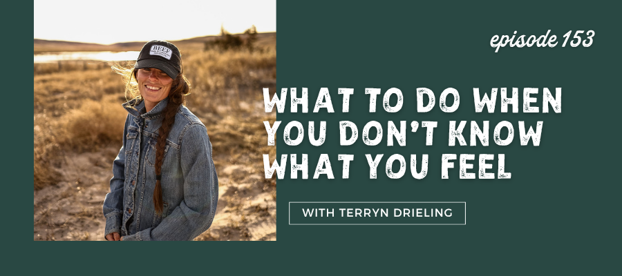 Header graphic for What to Do When You Don't Know What You Feel [episode 153]